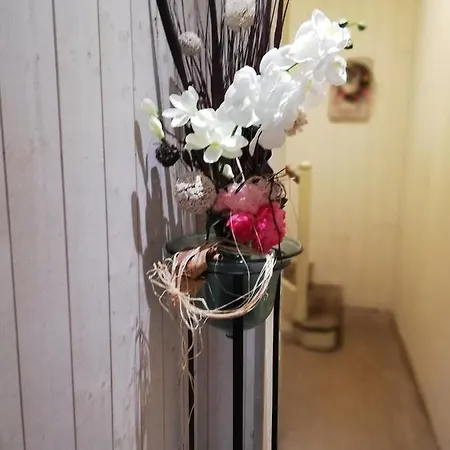 Imagine ... Apartment *